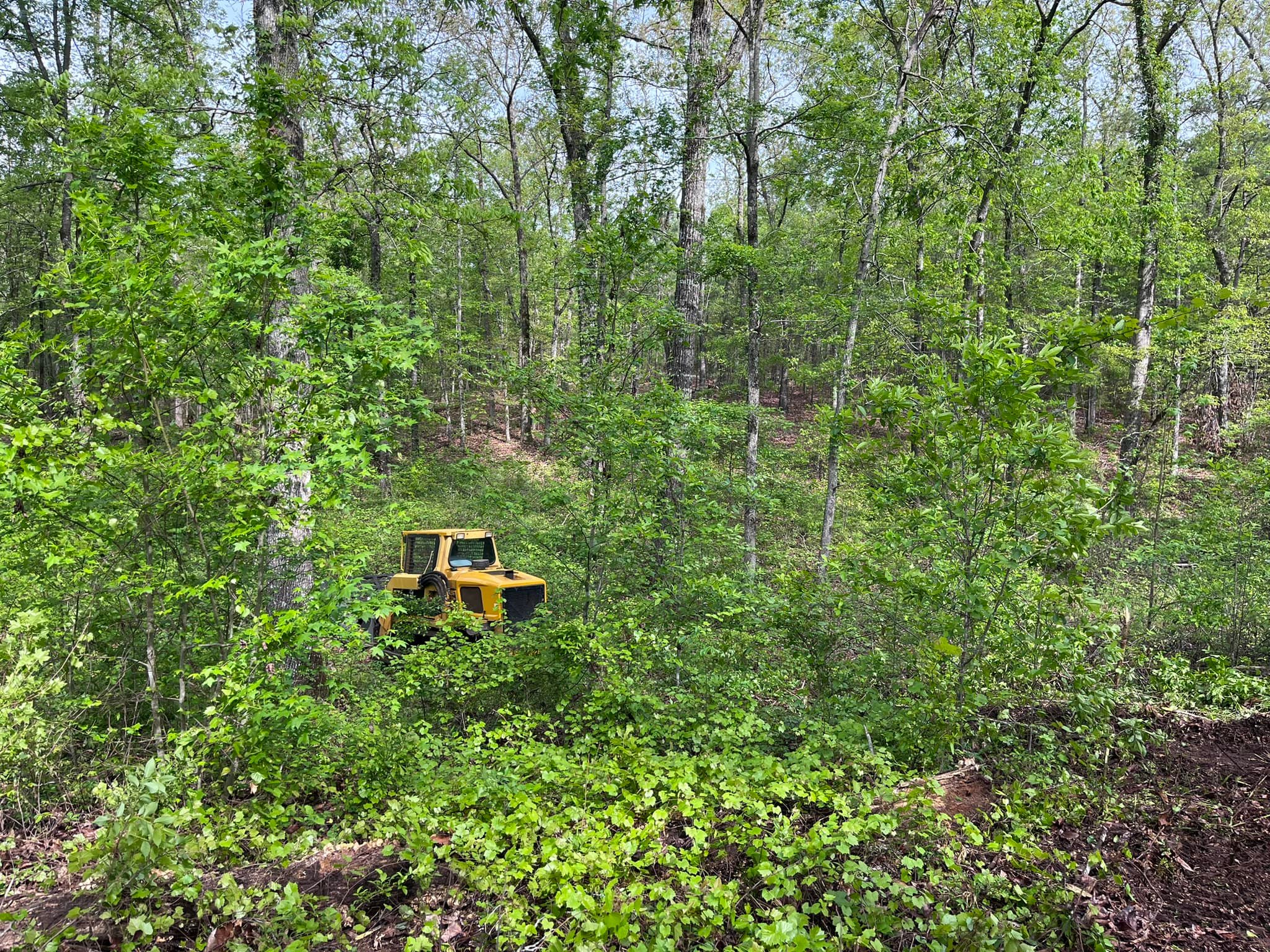 Professional Land & Forestry Services in Centerville, GA